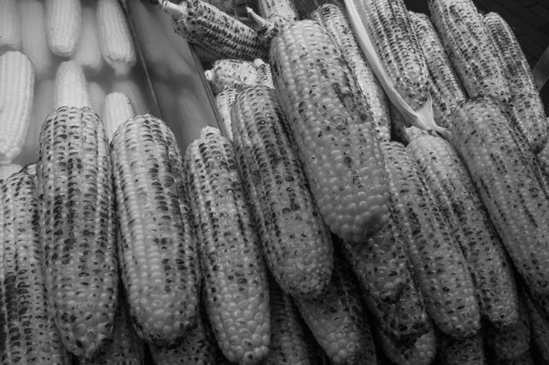 Starbird Loaded Corn on the Cob